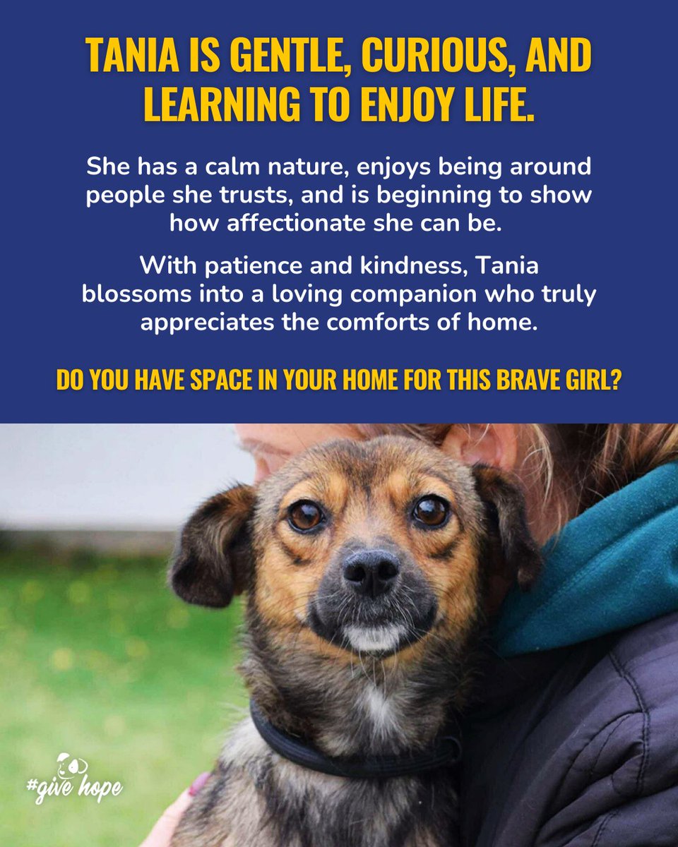 ROLDA Org tweet media