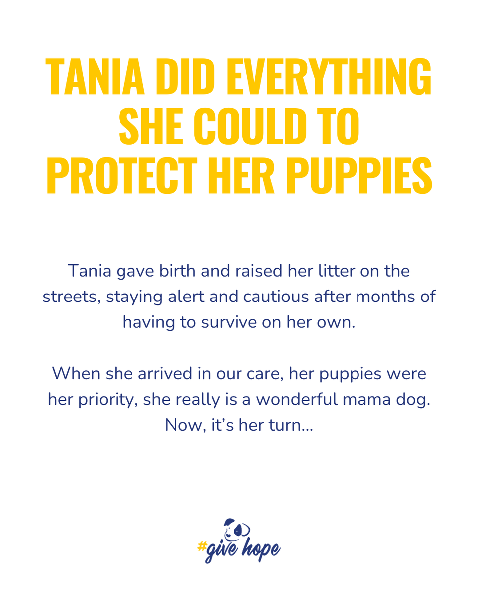 ROLDA Org tweet media