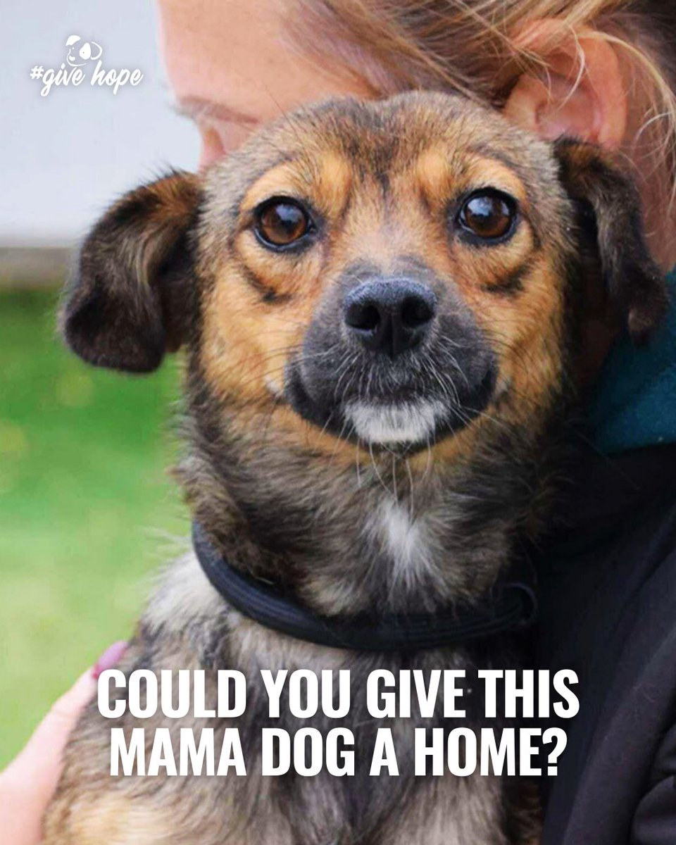 ROLDA Org tweet media