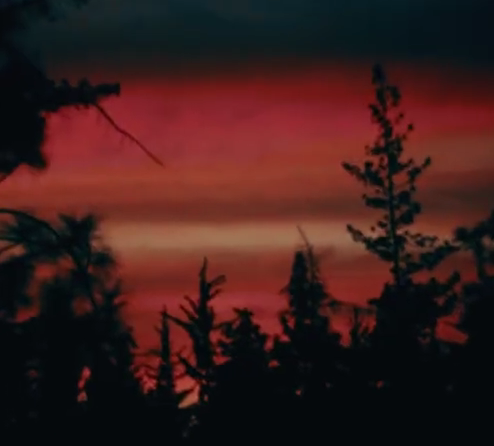 tucker 🪱 tweet media