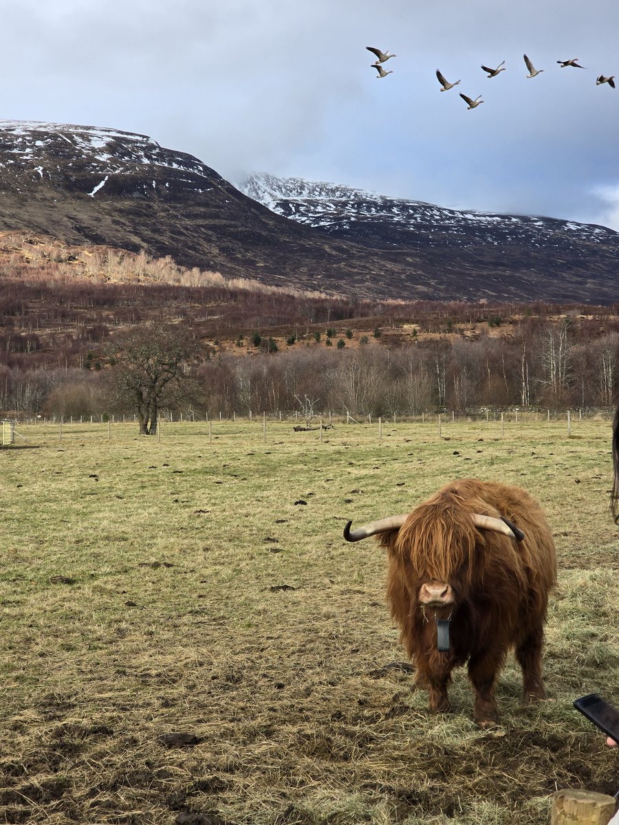 Markus Hamann tweet media