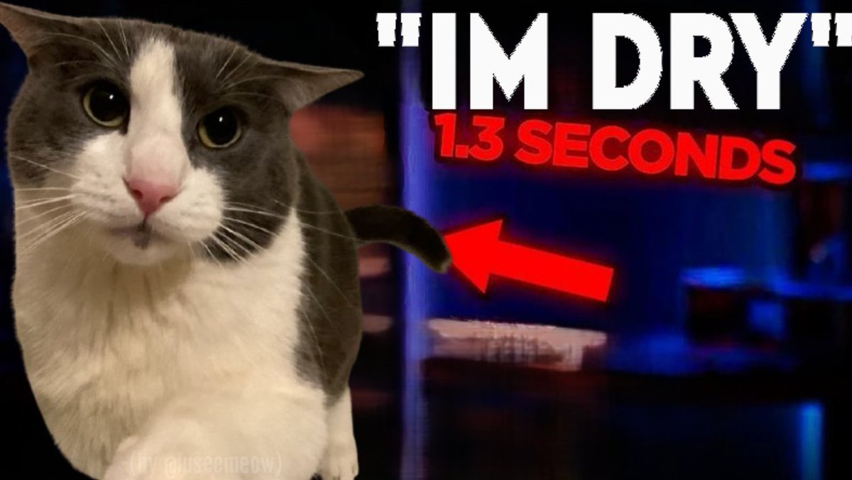 matern (@kaiguygd) on Twitter photo 