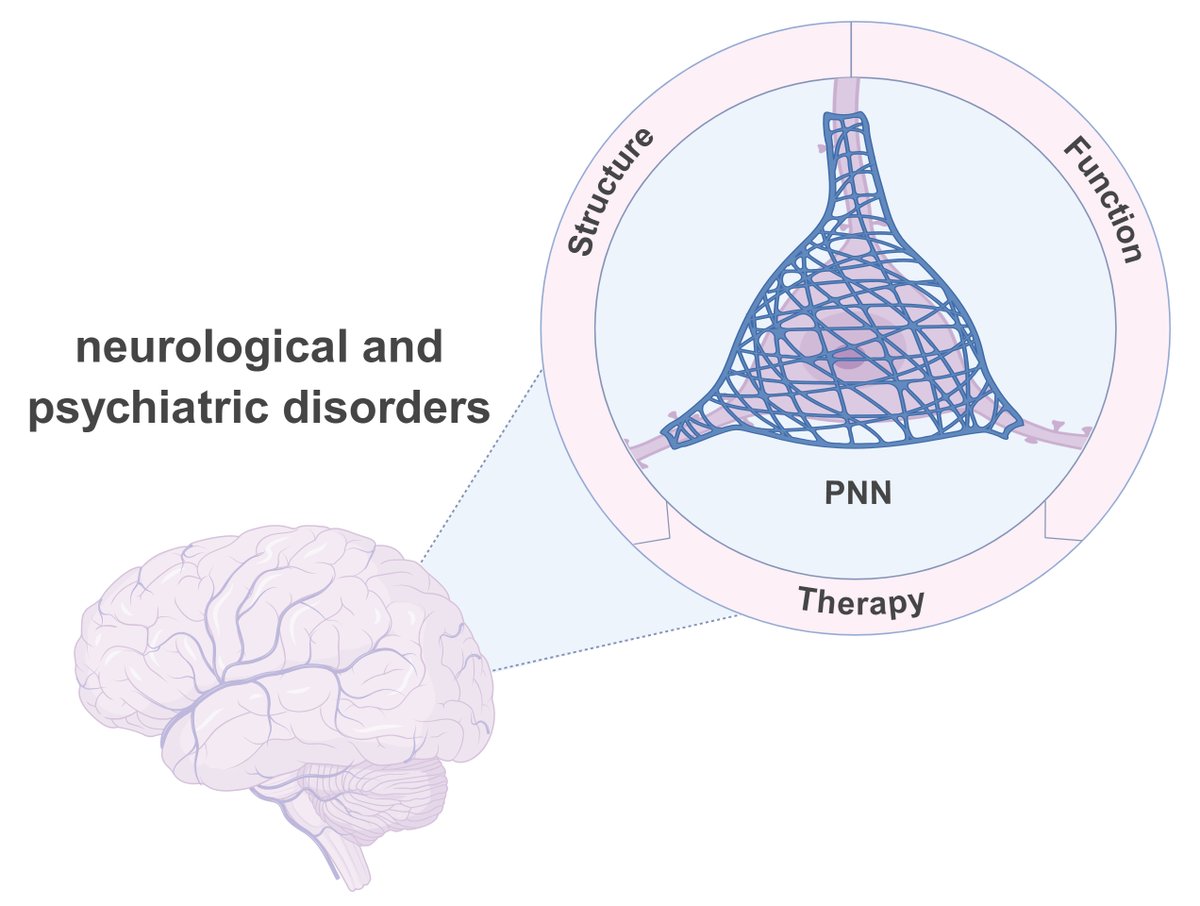 Brain (@Brain1878) / Posts / X