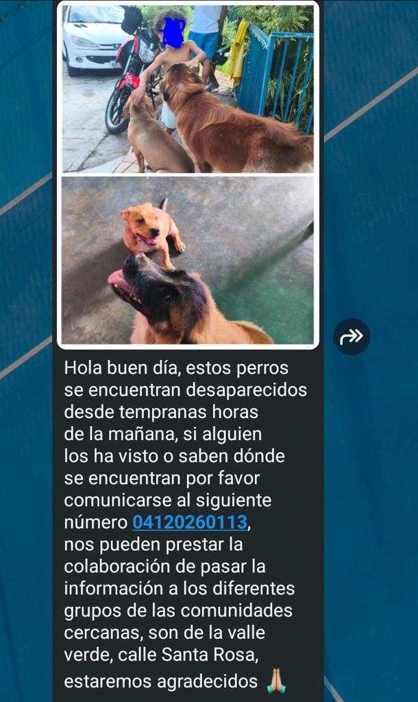 Zona Guarenas, Guatire 🙏🏻❤️🐶