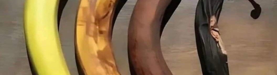 pearl ٰ tweet media