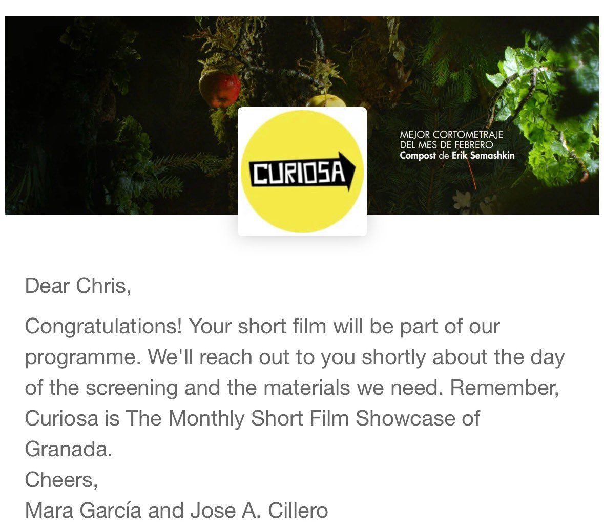 Chris Toro tweet media