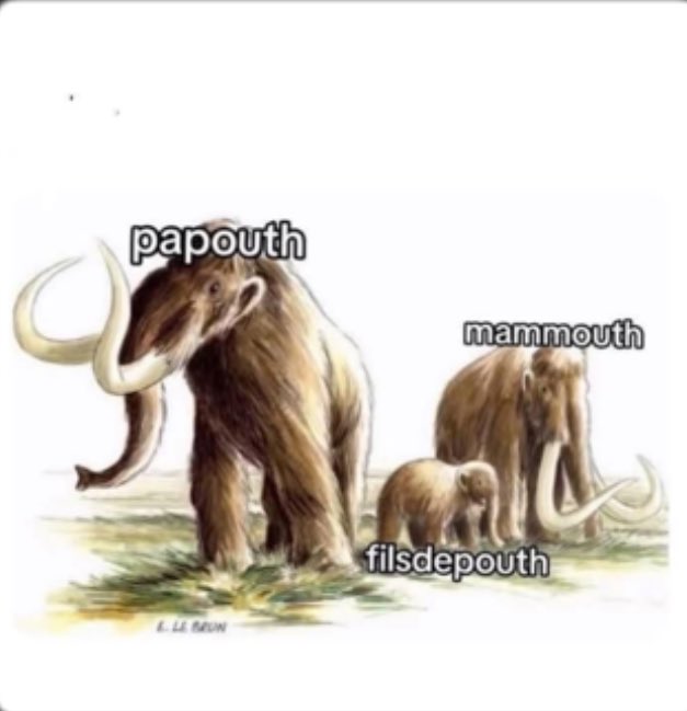 SO’🏴‍☠️ (@sofianedtr) on Twitter photo 