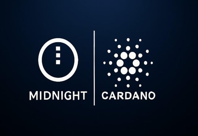 Cardano and $night holder follow me I'll follow back