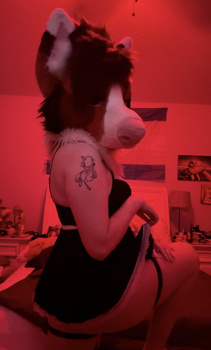 puppi 🔞 tweet media