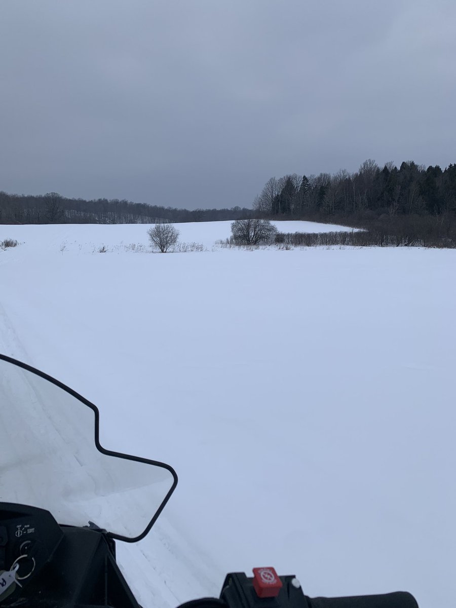 Courtney🐮 tweet media