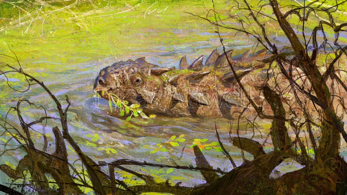 Lucas Attwell 🇦🇷 🍉 tweet media