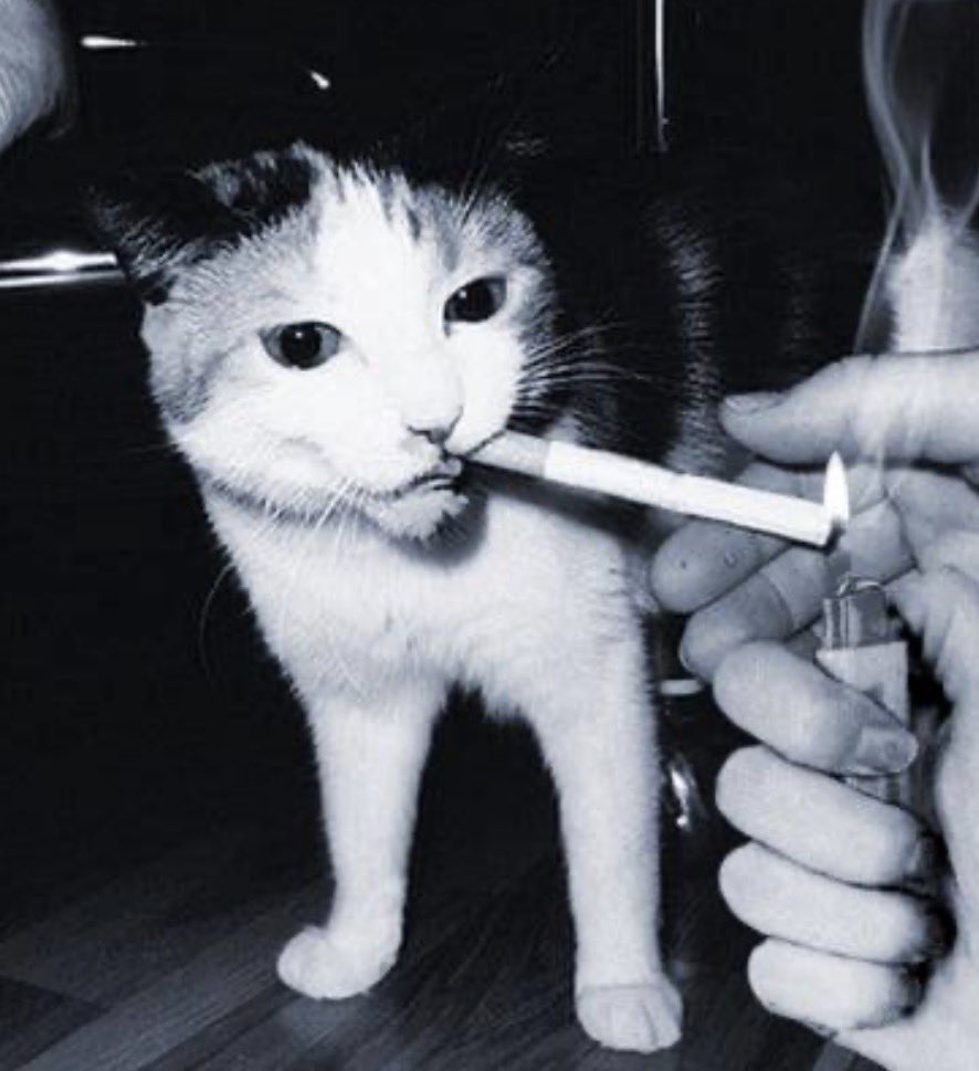 Se un hombre:
-Trabaja
-No sientas 
-Fuma
-Haz dinero
-Abusa de la cafeína
-No duermas 
-Ódiate a ti mismo.