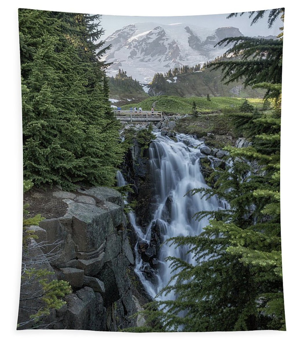 Belinda Greb tweet media