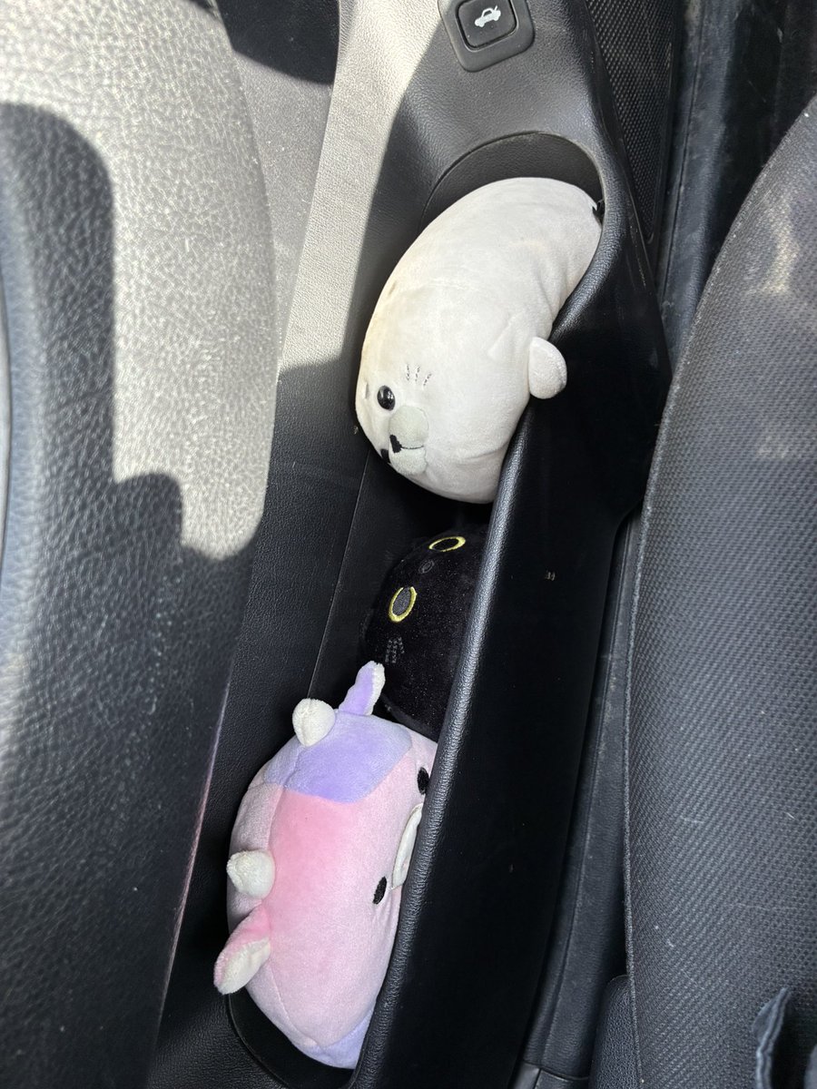 comet💫 tweet media