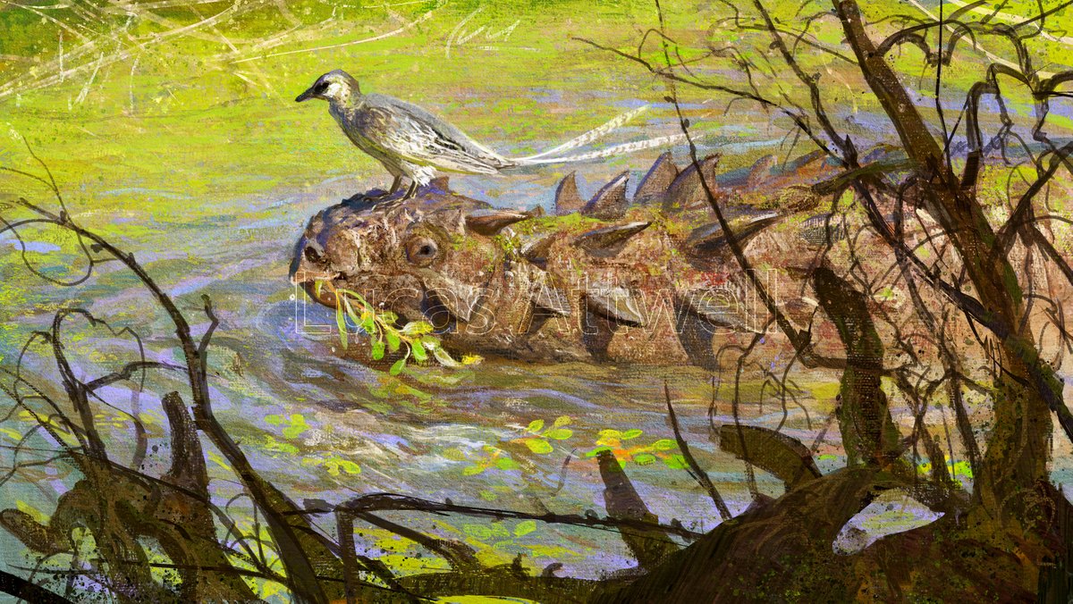AttwellLucas's tweet photo. Gurilynia version. When I first sketched the painting I didn't scale the bird correctly. And then I realized how big this bird was, it didn't look good to me. But I keep this version because it's interesting to see how big some Enantiornithes were. https://t.co/WU4m0lBVQ1