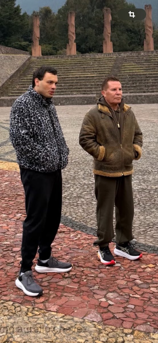 Julio César Chávez tweet media