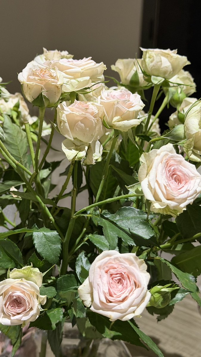 احلى شيئين بالدنيا