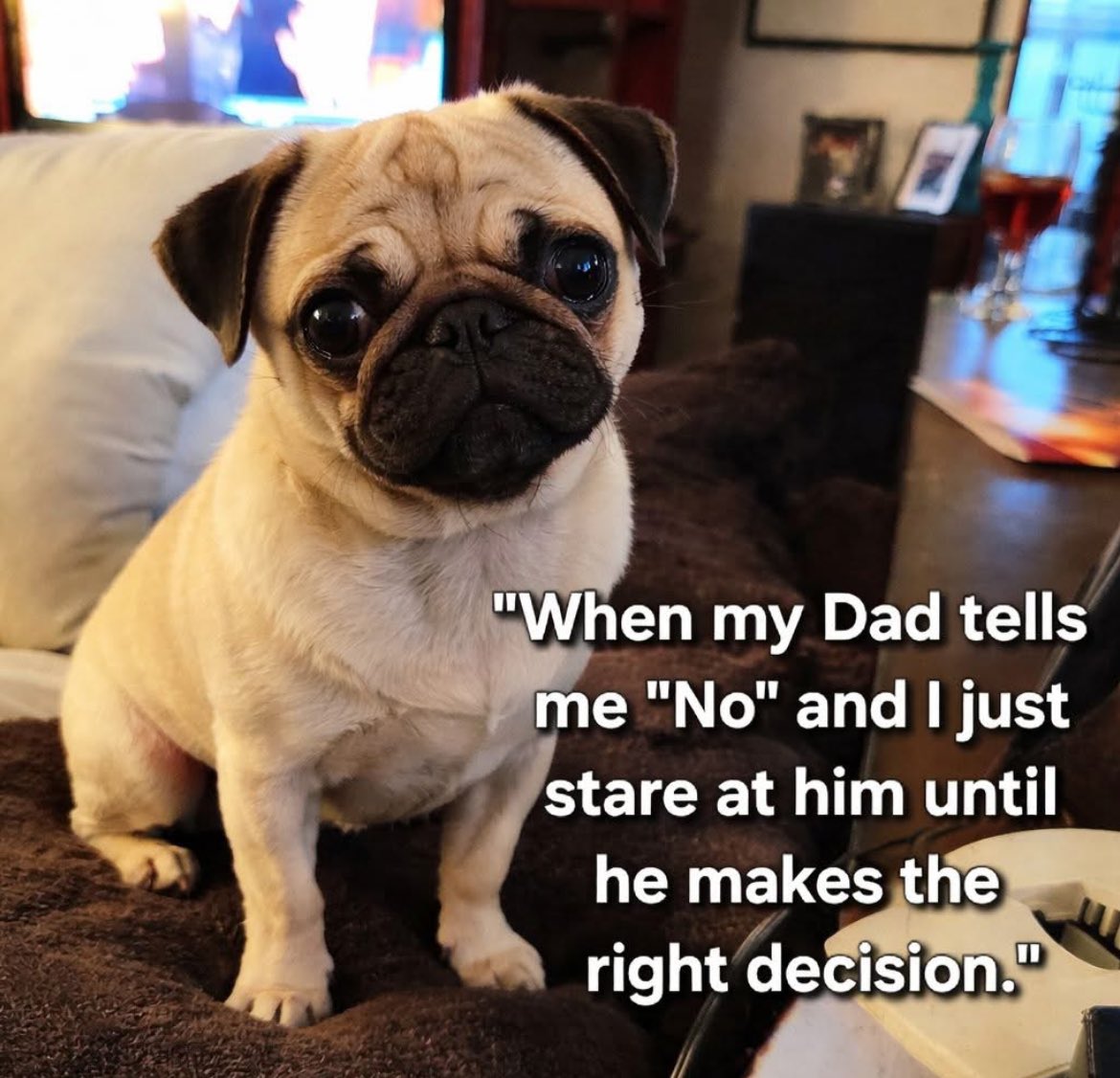 Charlie 2.0 tweet media