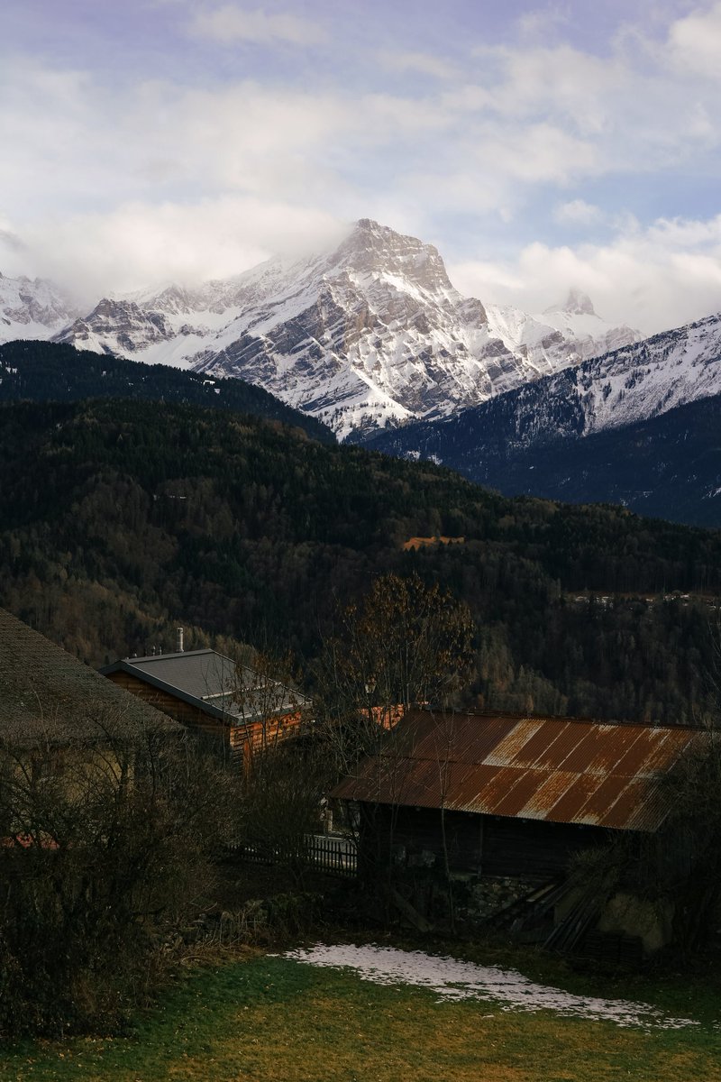 Format369 tweet media