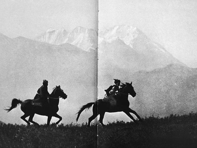 May the Year of the Horse bring swift victory to all