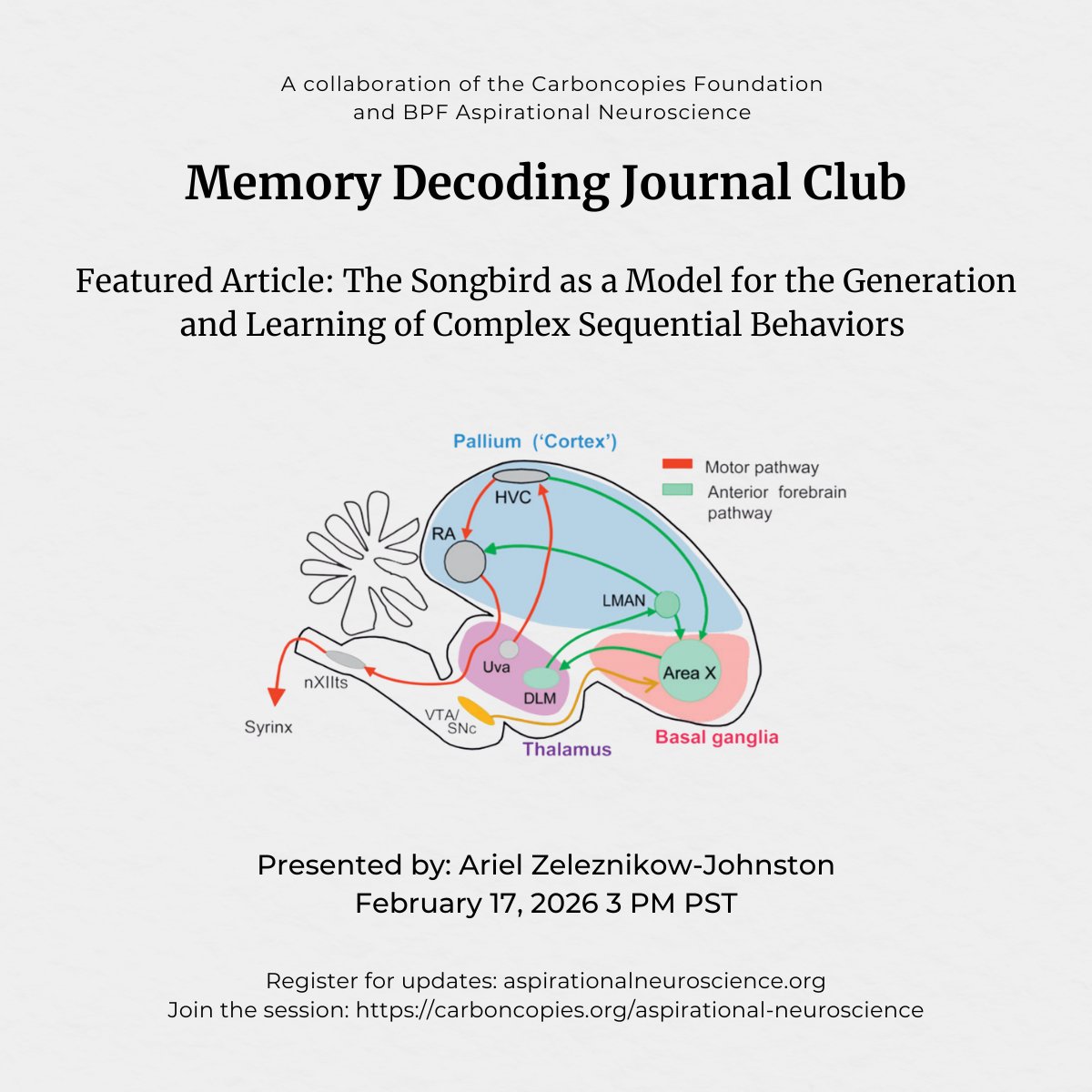 carboncopiesorg's tweet image. Join our Memory Decoding journal club “The Songbird as a Model for the Generation and Learning of Complex Sequential Behaviors” (Fee &amp;amp; Scharff) w/ Ariel Zeleznikow-Johnston on Tue, Feb 17 at 3 pm PT
carboncopies.org/aspirational-n… #memory #decoding #neuroscience #motorlearning