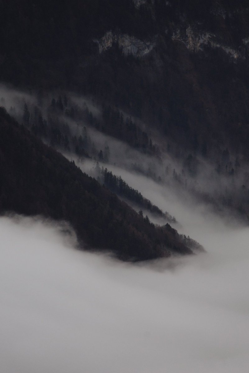 Amsterdamize tweet media