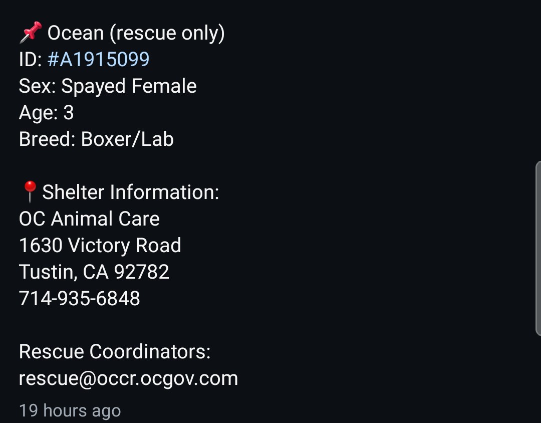 8415_n's tweet photo. OCEAN
3yo.#Boxer / #labrador mix
#boxerescue #labrescue #labradorrescue
A staff fav with awesome support of almost $2,000 in pledges.
Needs a committed #Adopter
‼IMMEDIATELY‼ Otherwise they'll kill her today at 5pm PT.
#adoptme #adoptable #adoptaboxer #adoptalab #hailmary #bff https://t.co/fI2CFoOtcG