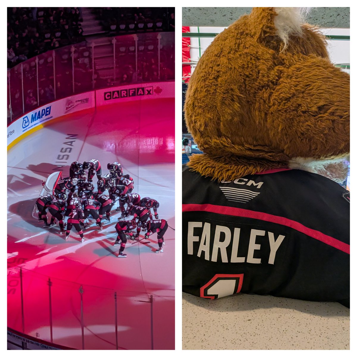 tammy robbins tweet media