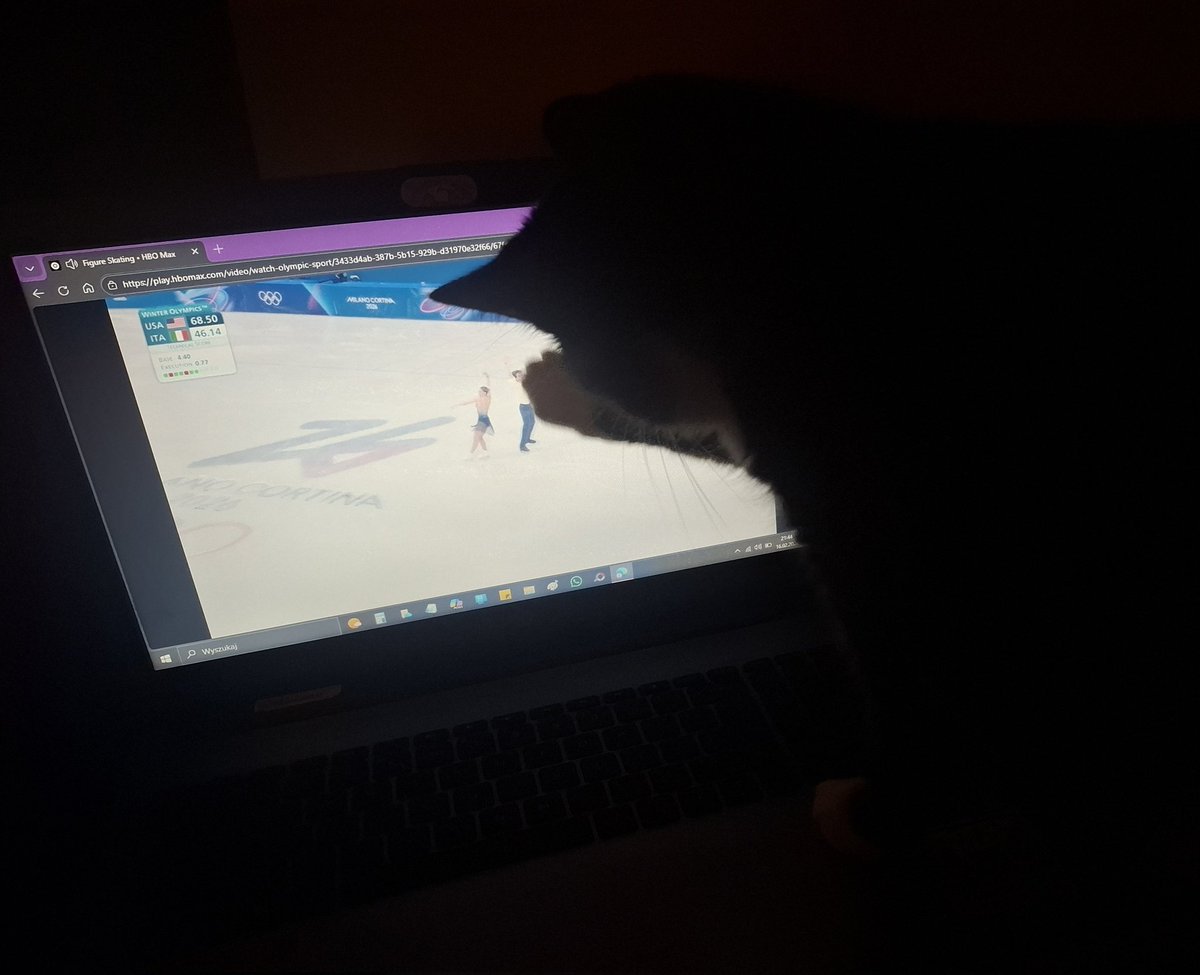 Albo kiedy twojego kota fascynuje łyżwiarstwo figurowe i chce wywalić łyżwiarza na twarz 😸 #MilanoCortina2026