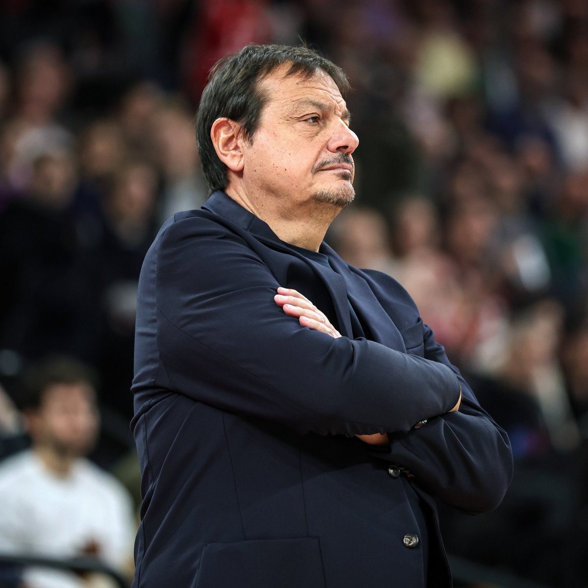 🚨 İDDİA: Ergin Ataman Panathinaikos’tan ayrılırsa, beklenmedik gelişmeler olmadığı takdirde %99 ihtimalle yeniden Anadolu Efes’e dönecek.

(<a href="/TheShot71/">Sh⭕t Vetakis</a>)