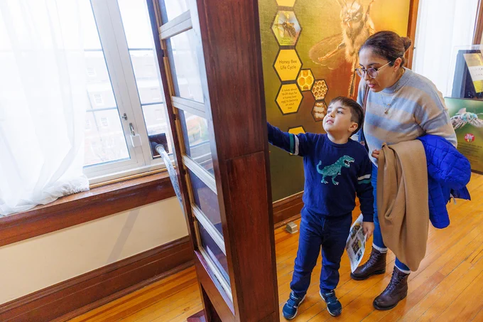 A child and an adult are at a museum exhibit. The child points towards a display case, holding a brochure. In the background, a panel features images with text, and there is a large window letting in natural light.