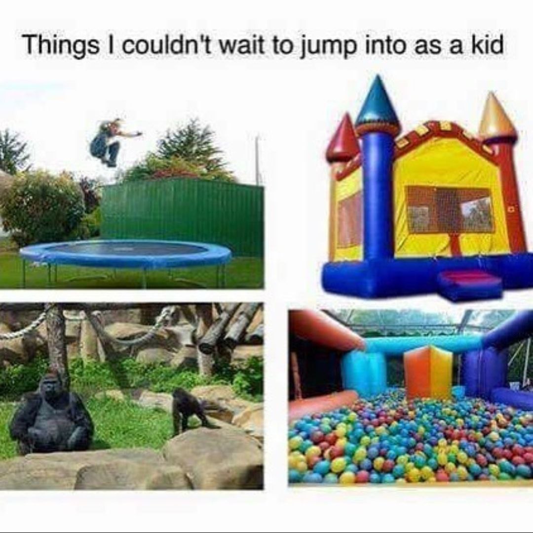 Day 221 of asking the question to <a href="/binance/">Binance</a>
Day 164 of asking the question to <a href="/coinbase/">Coinbase 🛡️</a>
When $harambe listing? 🦍🦍

<a href="/harambeonsolana/">Harambe (Meme)</a>
<a href="/BinanceLabs/">Yzi Labs</a> 
<a href="/BinanceAcademy/">Binance Academy</a> 
<a href="/BinanceHelpDesk/">Binance Customer Support</a>
<a href="/CoinbaseSupport/">Coinbase Support</a> 
<a href="/CoinbaseExch/">Coinbase Exchange</a>
<a href="/brian_armstrong/">Brian Armstrong</a> 
<a href="/cz_binance/">CZ 🔶 BNB</a>