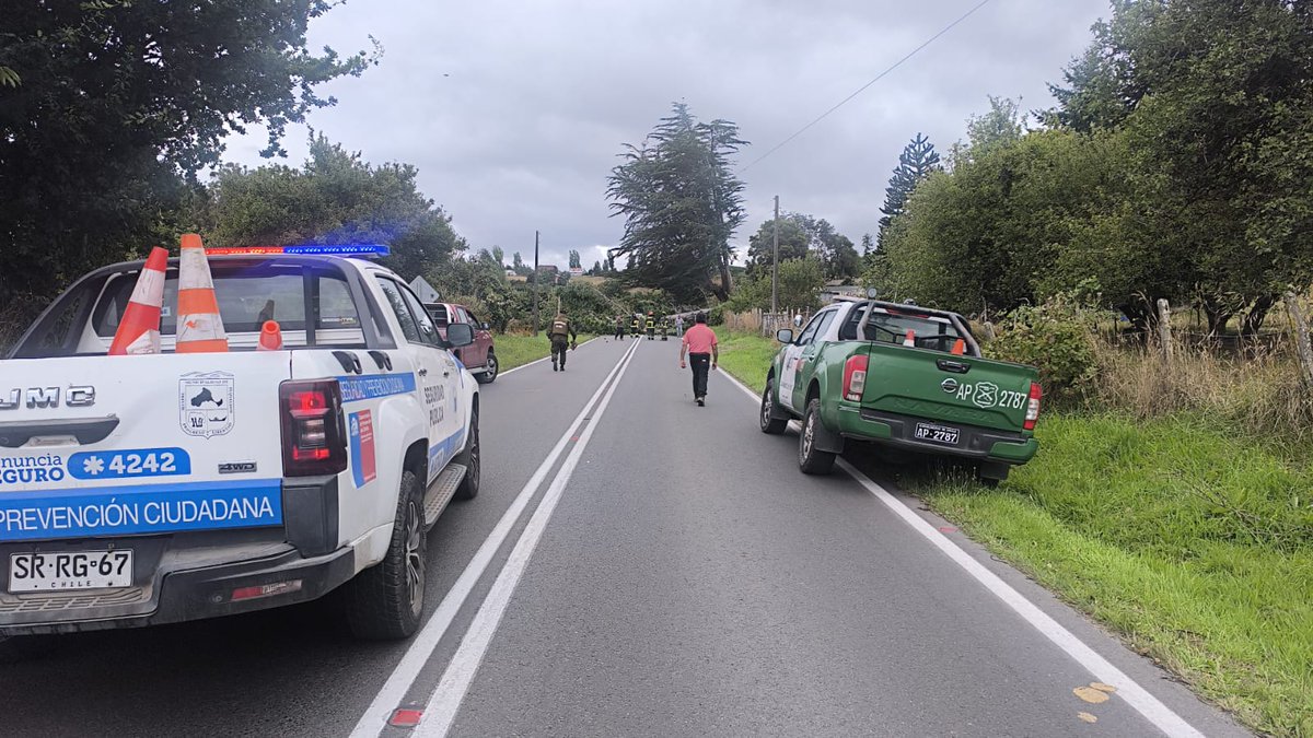 CarabLosLagos's tweet photo. En #Chiloé, Carabineros Retén #Puqueldón controlaron  el tránsito en la Ruta W-635, para el trabajo de personal de emergencia municipal que liberó la calzada luego de la caída de un árbol de gran envergadura a la altura del km. 6.4, producto del fuerte viento #CarabinerosDeTodos https://t.co/lKUXvfabpI