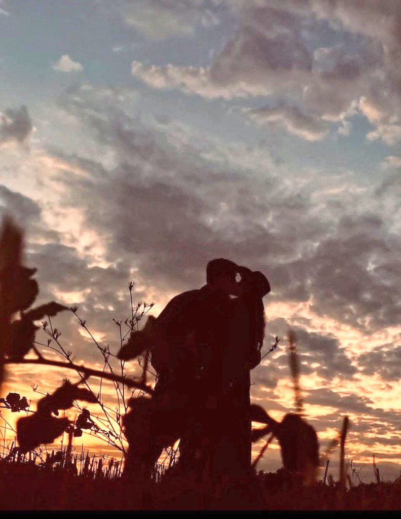 Kalbim💗Çağatay Ulusoy tweet media