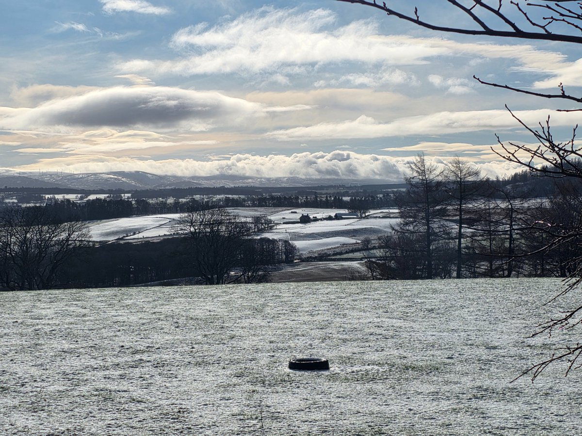 Lanarkshire Country Lass tweet media