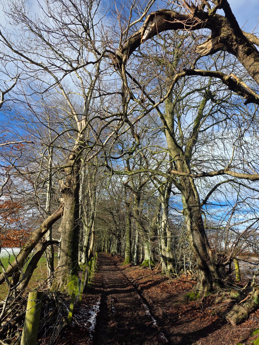 Lanarkshire Country Lass tweet media