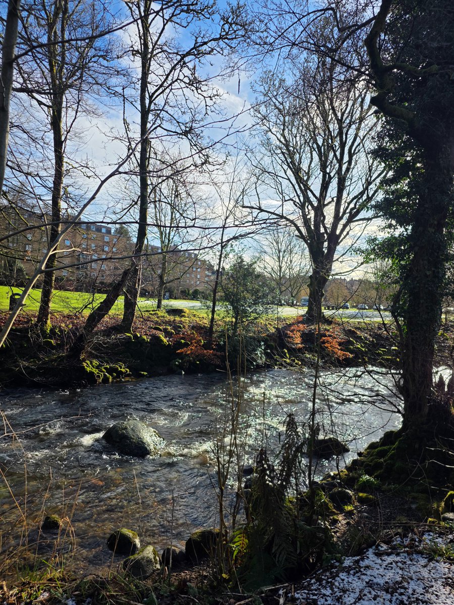 Lanarkshire Country Lass tweet media