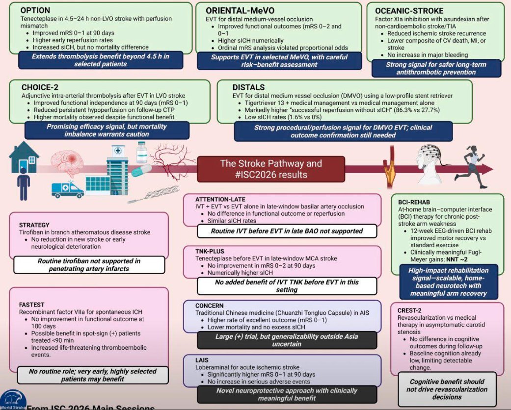 Neurohospitalist Society tweet media