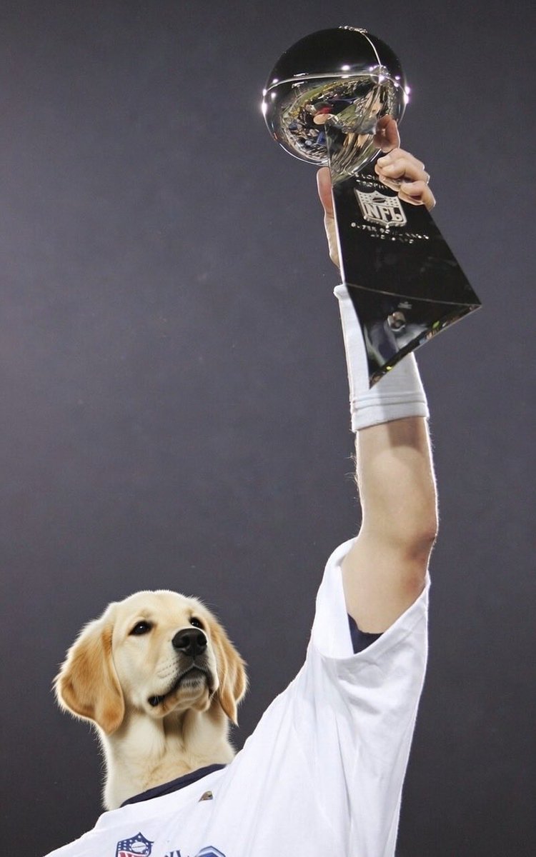 🥬kæl tweet media