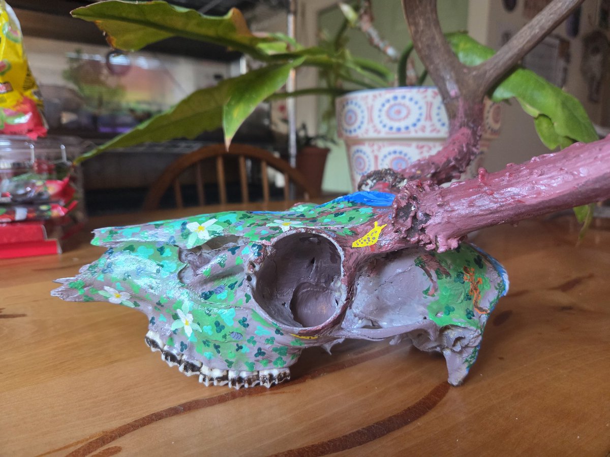 fernndraws's tweet photo. 1/3 Deer skulls I was commissioned to paint for a sweet friend at work:)
#art #Commission #ArtistOnTwitter #commissionsopen #painting #skull https://t.co/qDj4dBnVtM