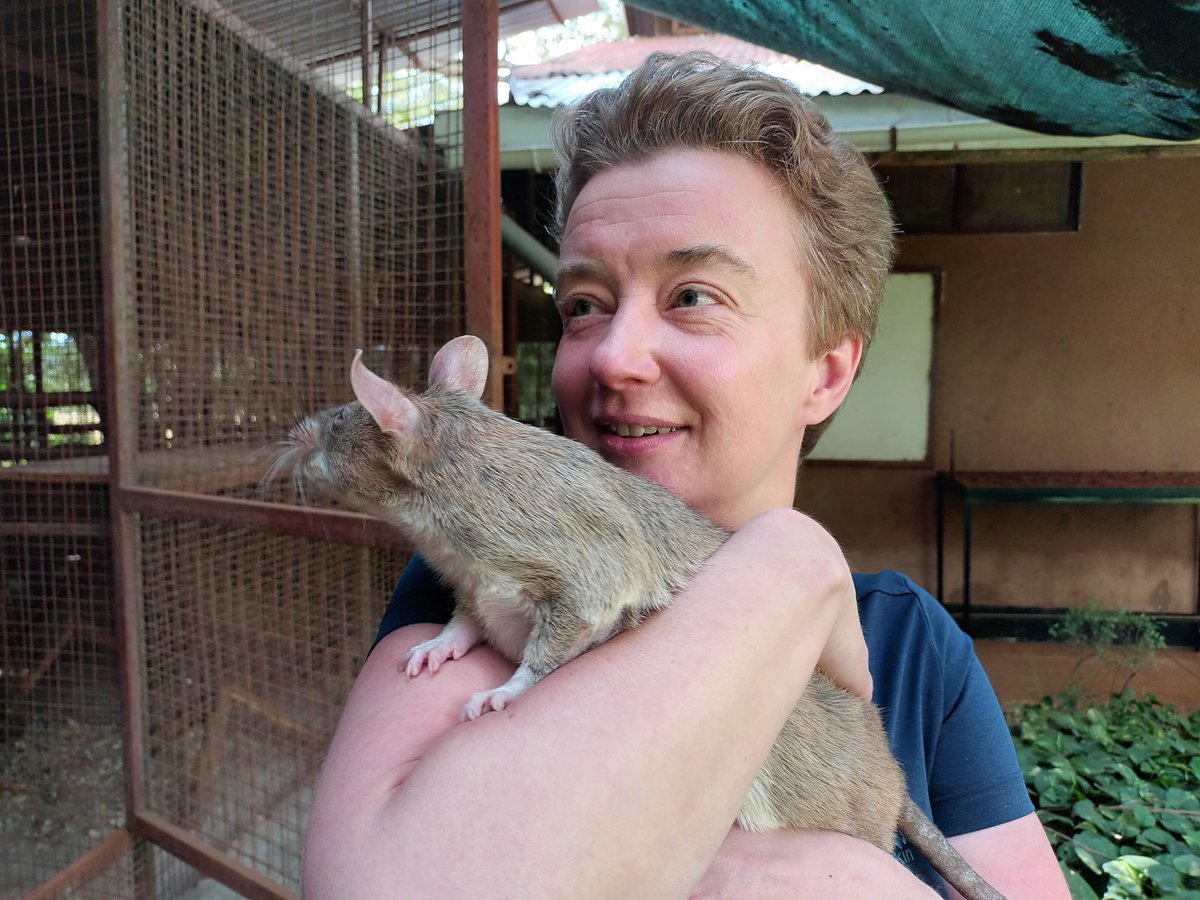 Snowpeaks_Nepal's tweet photo. Meet ME at #wohc2026 because I'm really great, I do interesting research and I REALLY need a job! Wine (preferably red) always accepted 😁  #zoonoses #ecohealth #womeninSTEM @PeterDaszak @WOHCongress @LSHTM https://t.co/k2jZE9CZzL