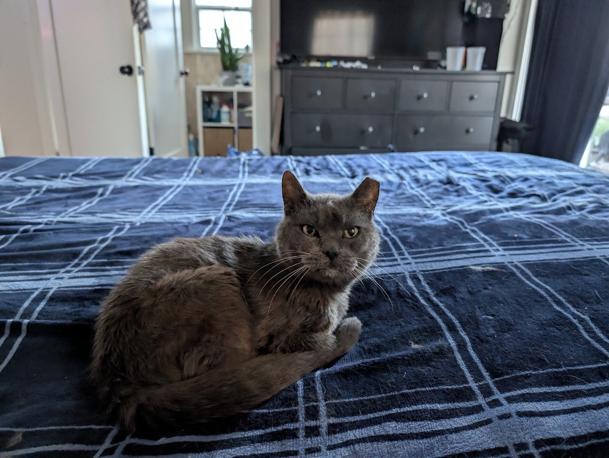 LumberSnack tweet media