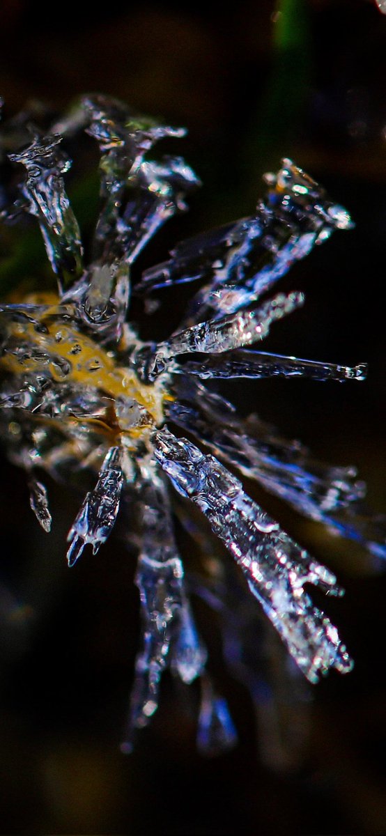 Kibri76's tweet photo. @Sam_Alexandra23 #MacroMonday #Photography #IceCrystals https://t.co/zLW0hrCT2j