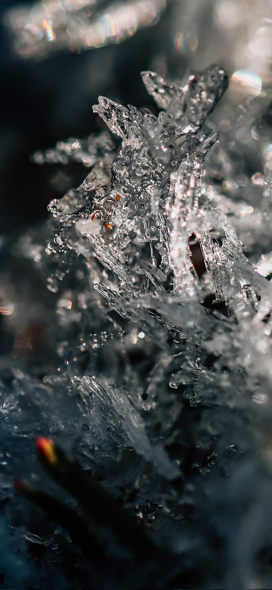 Kibri76's tweet photo. @Sam_Alexandra23 #MacroMonday #Photography #IceCrystals https://t.co/zLW0hrCT2j