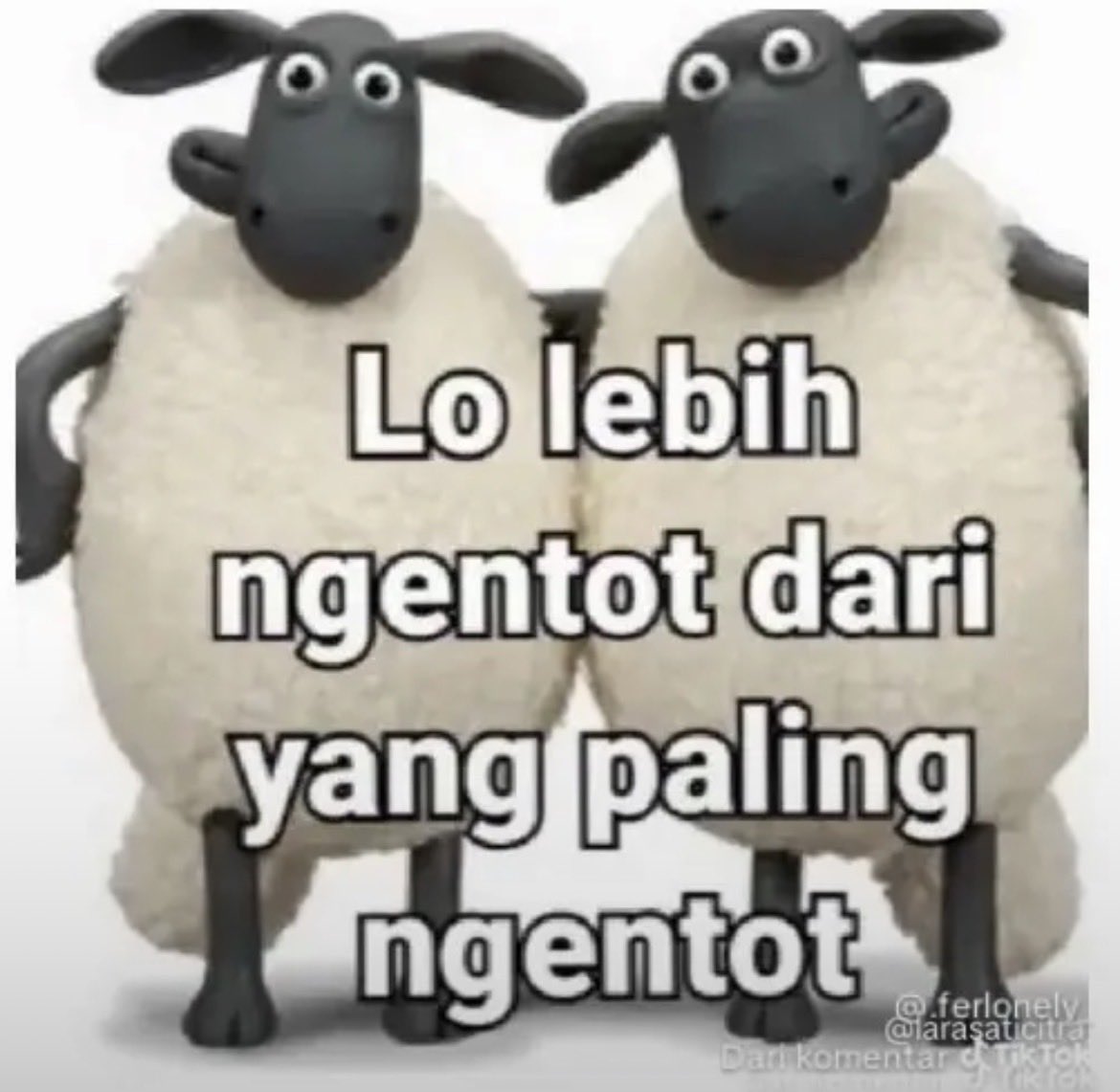 parkkwon_tol's tweet photo. @aina0660 Bahasa kalian sangat aneh https://t.co/w8Wl8Ilgcs