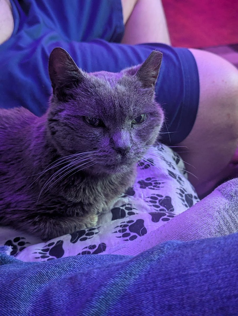 LumberSnack tweet media