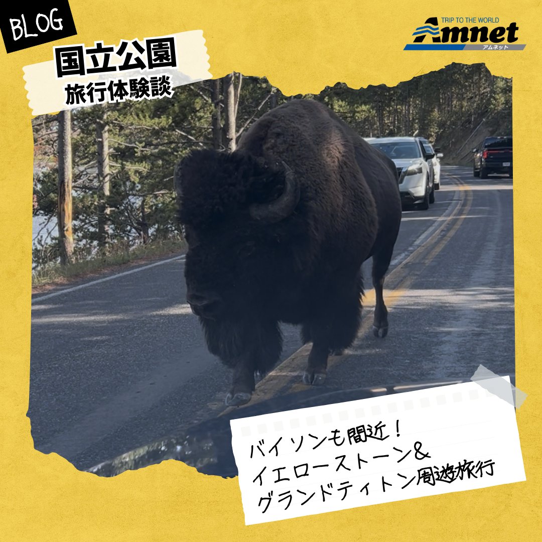 AmnetNY's tweet photo. 旅行体験談✏️バイソンも間近！イエローストーン＆グランドティトン周遊旅行

今回は、8月に国立公園旅行に行かれたお客さまより、体験談をいただきましたのでご紹介いたします。

▶︎ 続きはこちら
https://t.co/29ZCqnD2dZ

#ブログ #体験談 #国立公園 #イエローストーン #アムネット https://t.co/1c2oMsRCAj