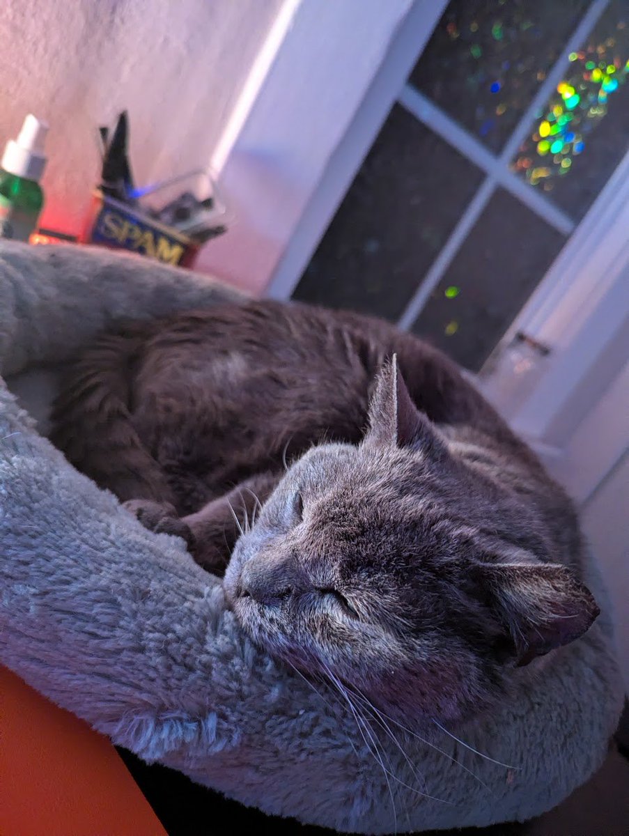 LumberSnack tweet media