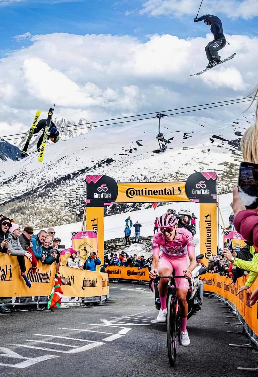 Tintintin tweet media