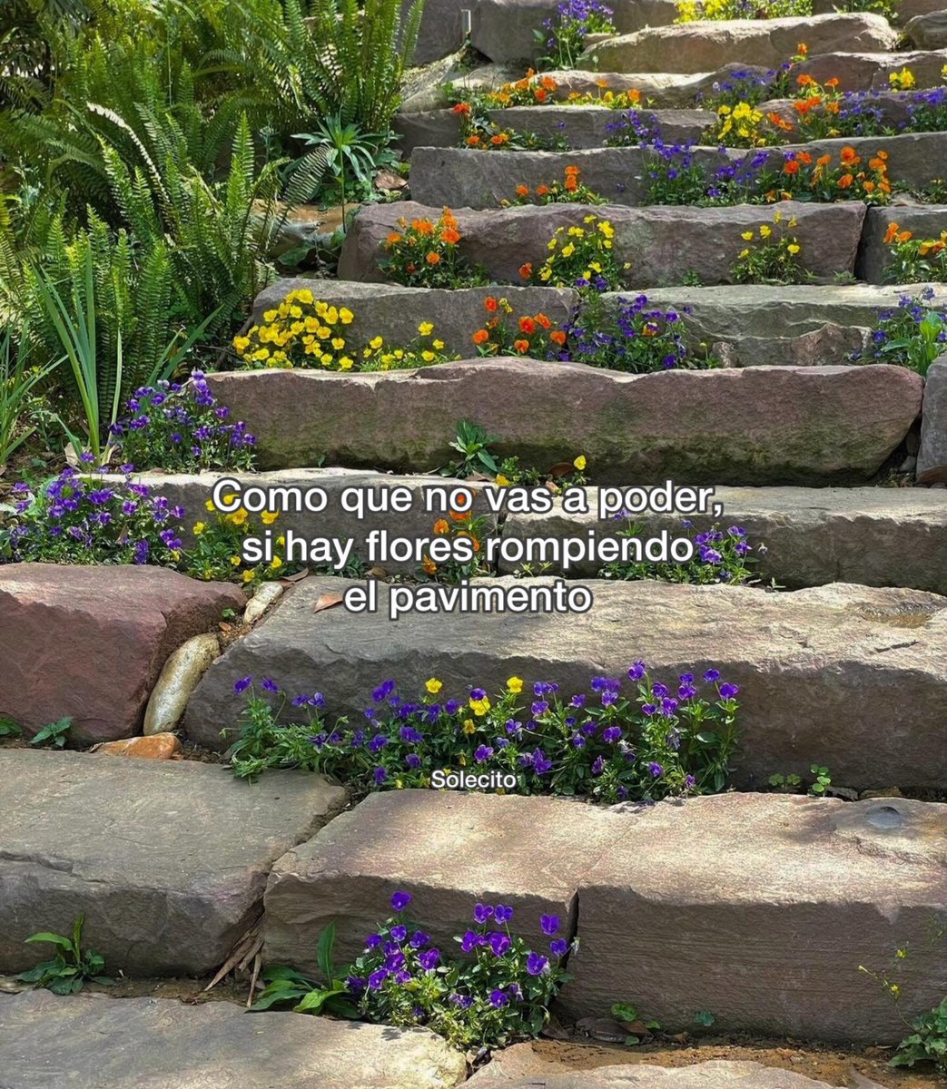 BANDIDOS tweet media